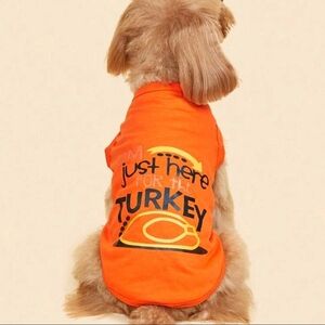 New Dog Thanksgiving shirt